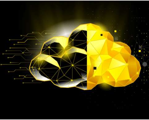 Header banner