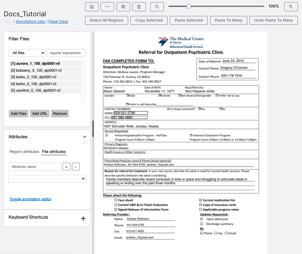 Shows the Page View screen. You will start on the first image of the zip file.