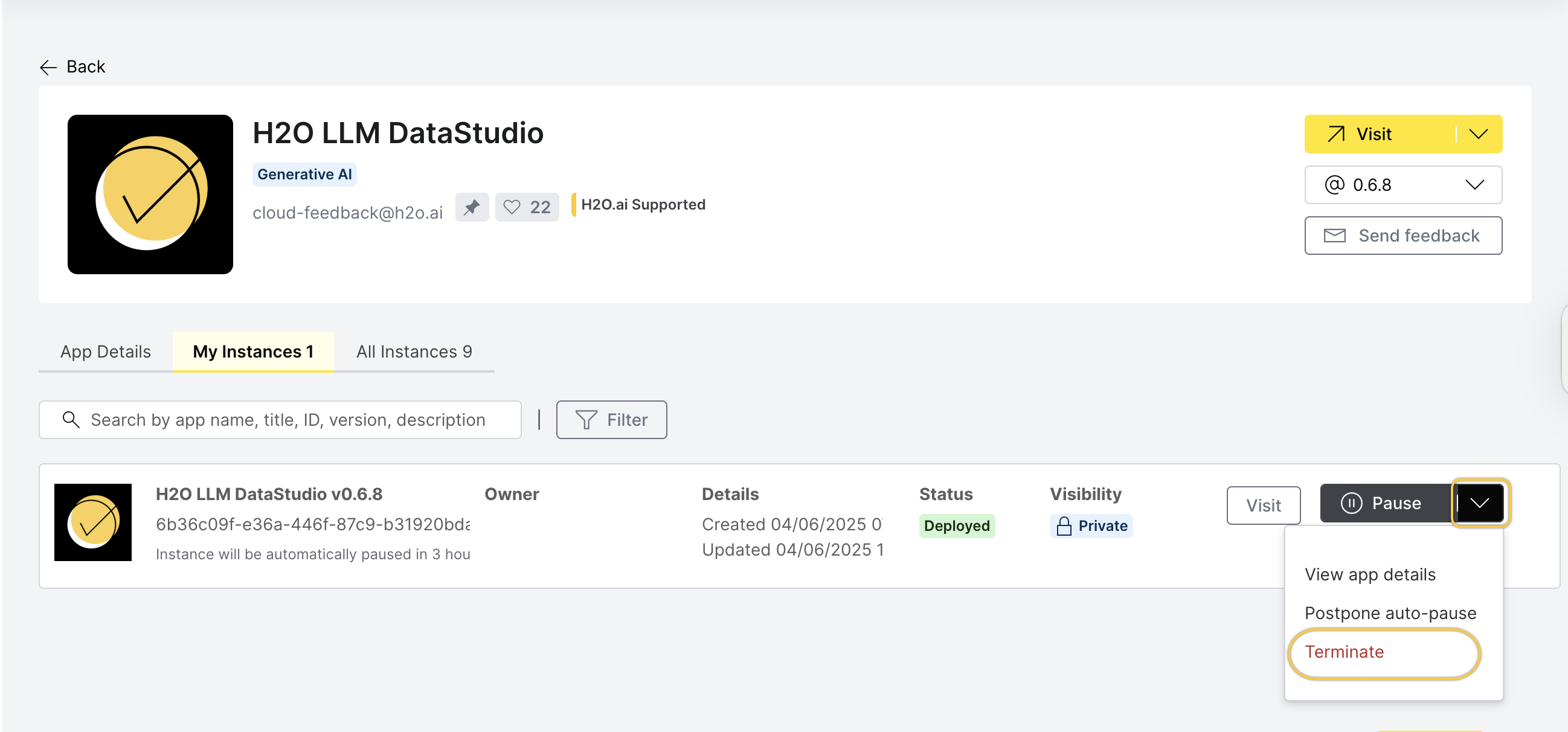 My Instances tab and the terminate button