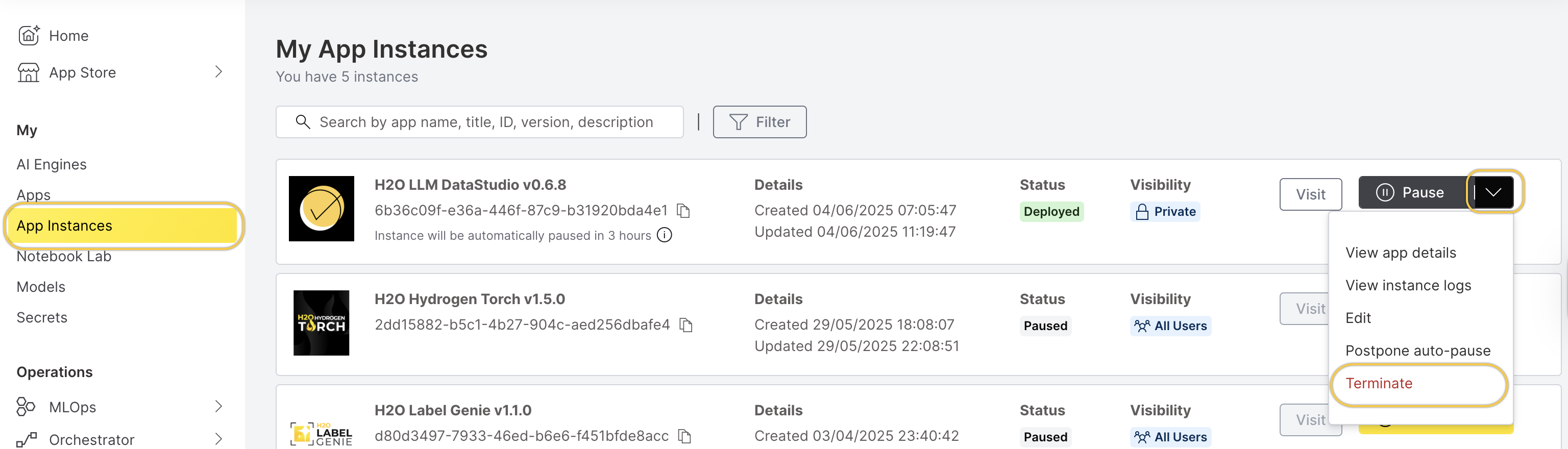 My Instances section within App details and the terminate button