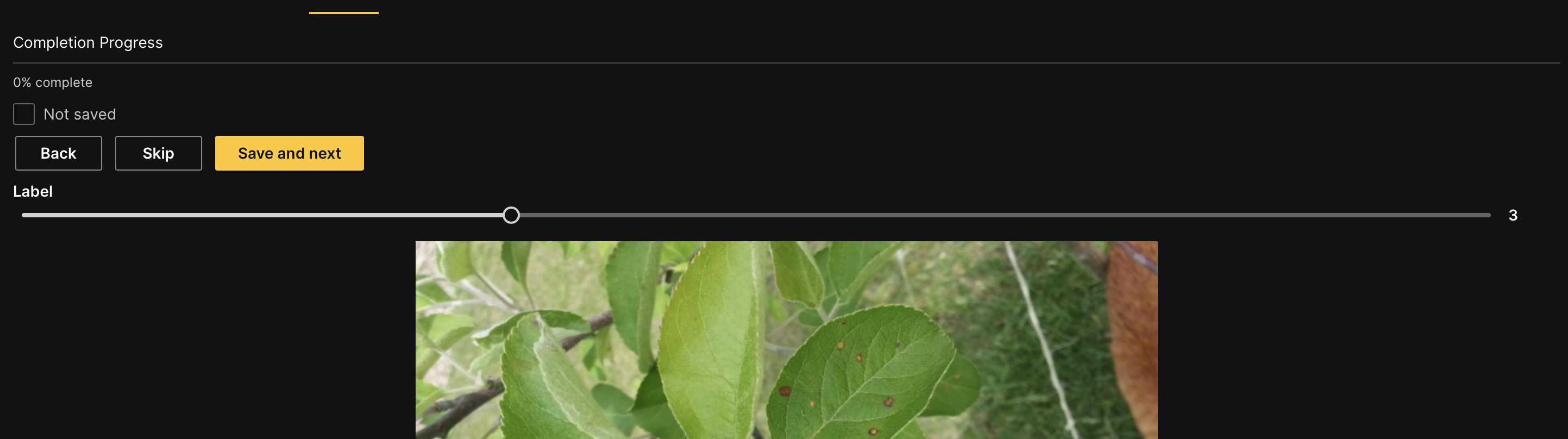 Annotated image dataset with slider selection at 3